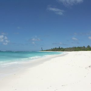 Bird Island Lodge